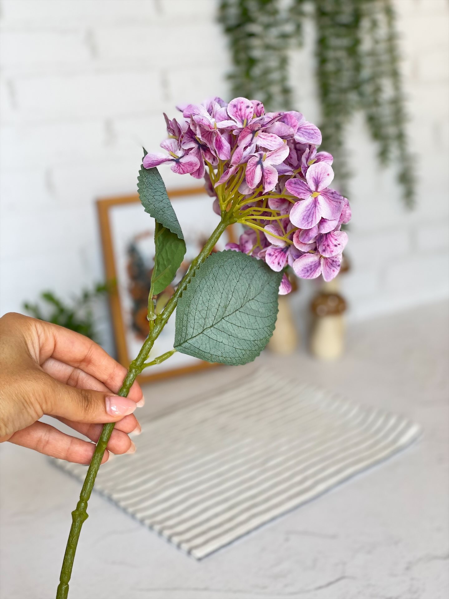 IMG_7280