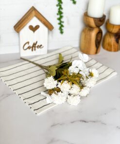 بوته میخک رنگی کد 2