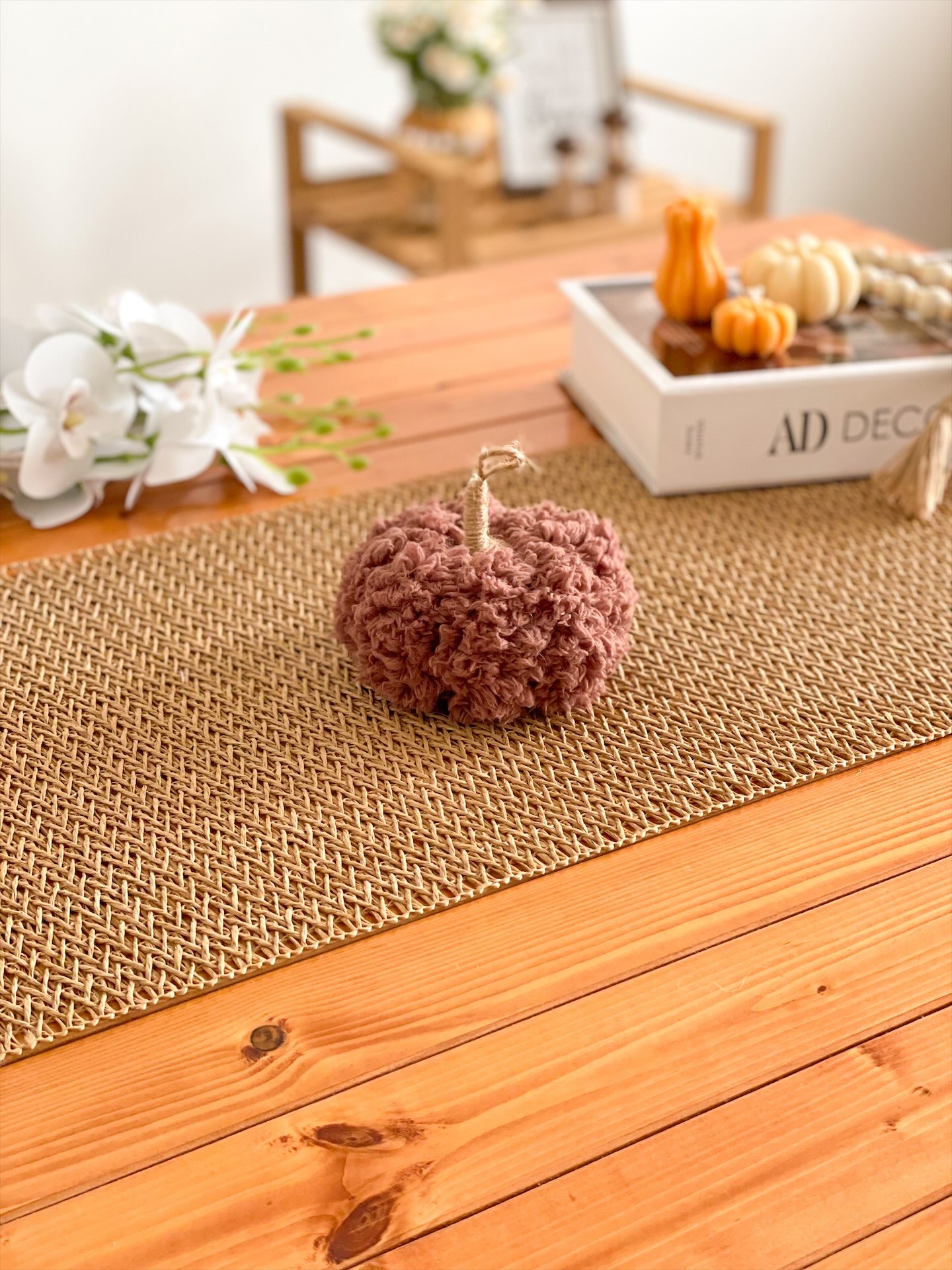 کدو تدی کوچک قهوه ای کدو تدی کوچک قهوه ای