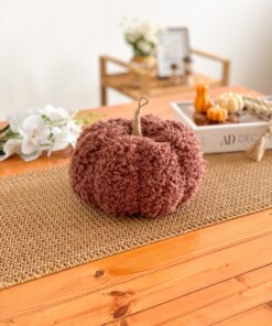 کدو تدی بزرگ قهوه ای
